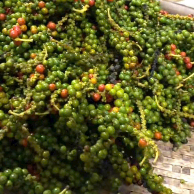Tiêu xanh