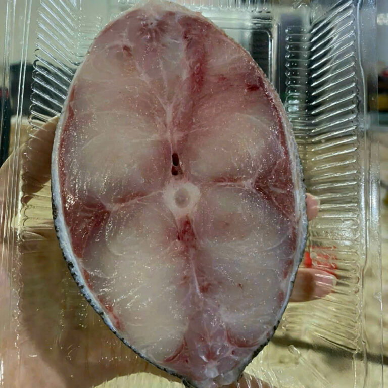 cá bớp