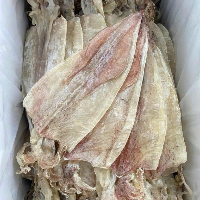 khô mực